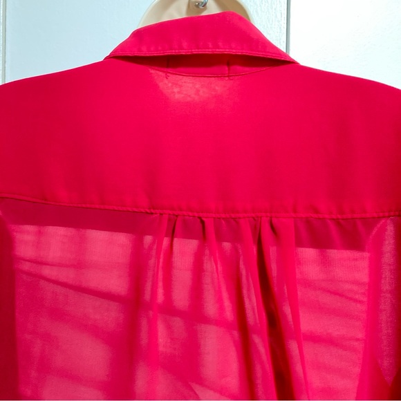 Freebird Button Down Semi Sheer Pink Salamander Blouse Top Women's Large - Picture 8 of 12